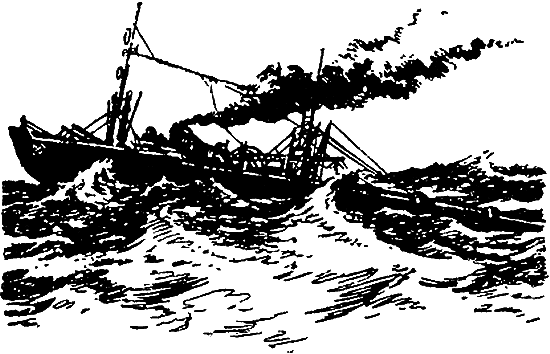 Арктический мост (с илл.) i_027.png
