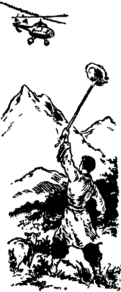 Арктический мост (с илл.) i_030.png