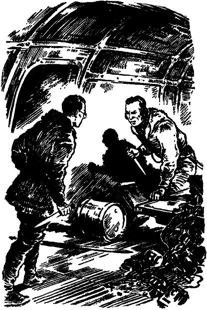 Арктический мост (с илл.) i_040.png