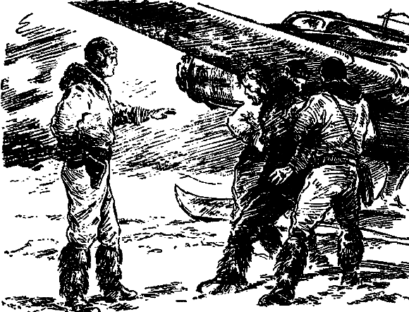 Арктический мост (с илл.) i_047.png