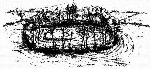 Ирландия. История страны i_010.jpg