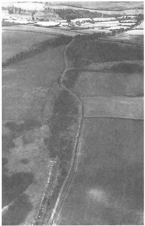 Саксонские и нормандские короли. 450 – 1154 гг i_011.jpg