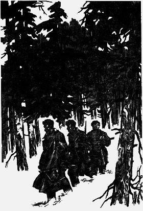 Костры партизанские. Книга 1 _1.png