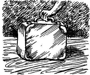 Кошки и шпионы i_029.png