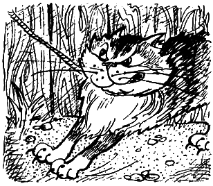 Кошки и шпионы i_020.png