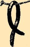Сказки Верховины i_062.png