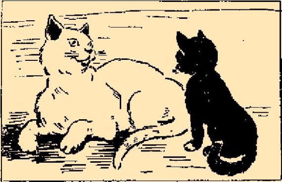 Сказки Верховины i_093.png