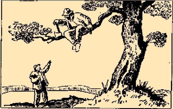 Сказки Верховины i_097.png