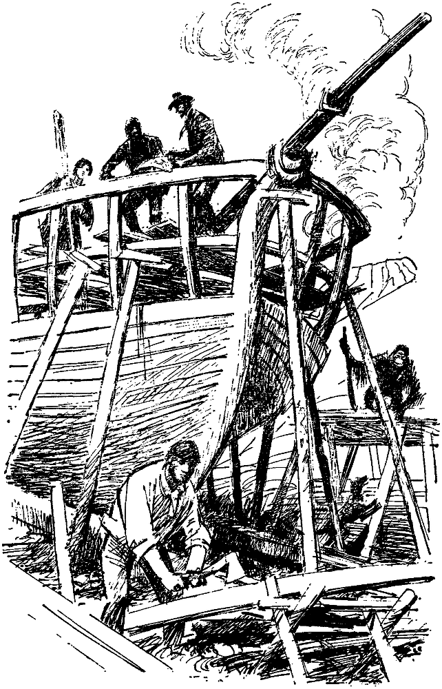 Таинственный остров (др. изд.) pic24.png