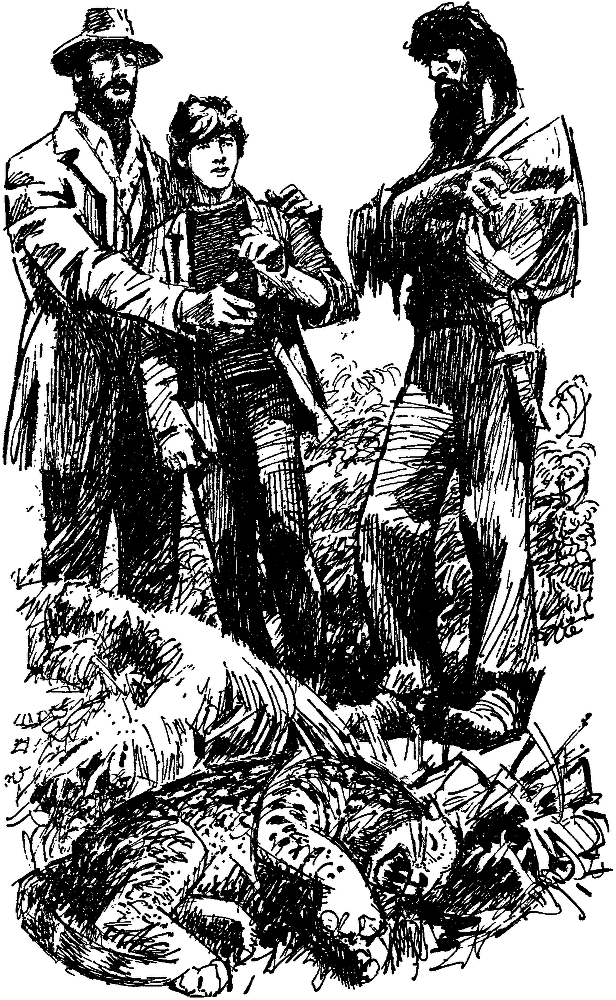 Таинственный остров (др. изд.) pic15.png