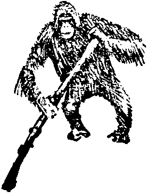 Таинственный остров (др. изд.) pic16.png