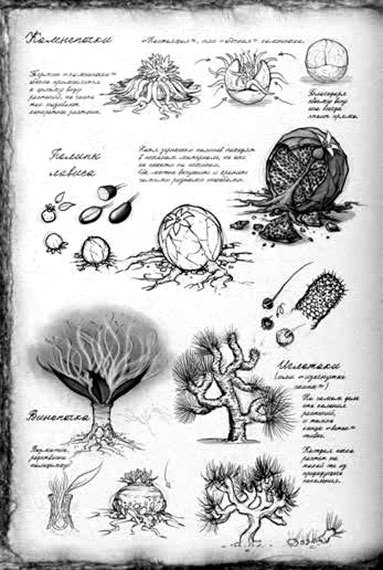 Обреченное королевство i_016.jpg