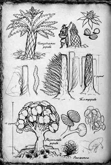 Обреченное королевство i_018.jpg