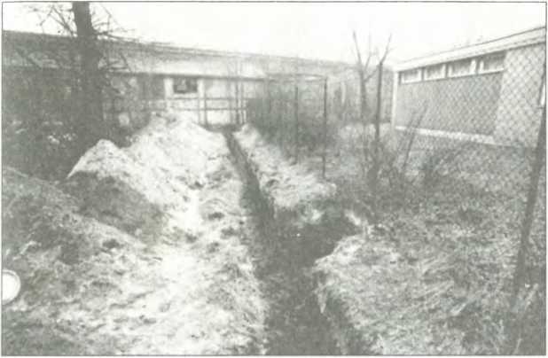 Партайгеноссе. Жизнь и смерть Мартина Бормана i_026.jpg
