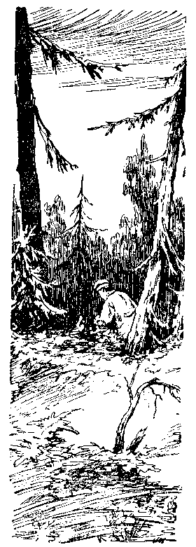 Тайны Тарунинских высот pic03.png