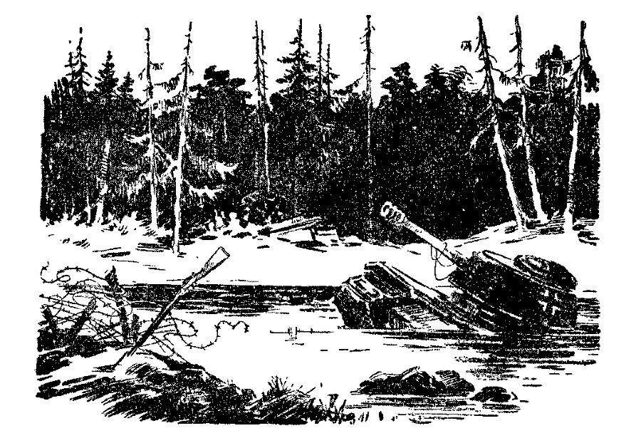 Тайна «Россомахи» pic01.png