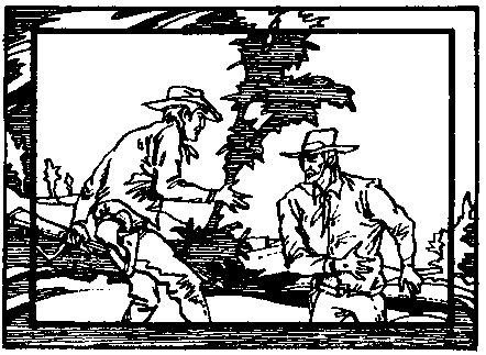 Золото Калифорнии (сборник) pic_18.png