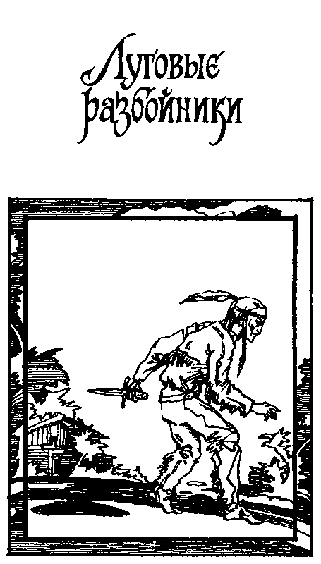 Золото Калифорнии (сборник) pic_10.png