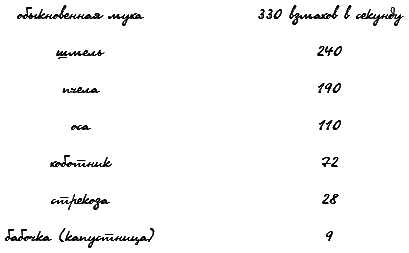 В стране дремучих трав t_1.png