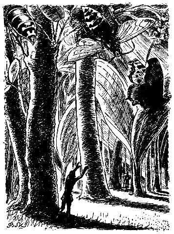 В стране дремучих трав i_17.png