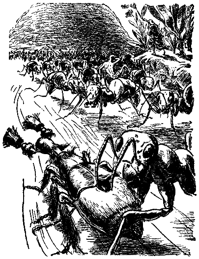 В стране дремучих трав i_25.png