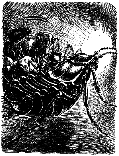В стране дремучих трав i_26.png