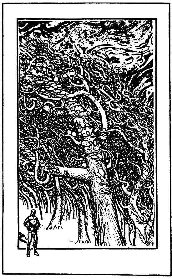 Сила сильных (сборник) i_006.png