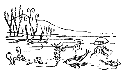 20 000 років під кригою i_049.png
