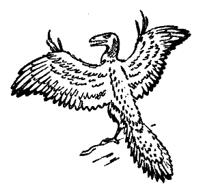 20 000 років під кригою i_008.png