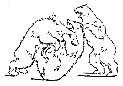 20 000 років під кригою i_010.png