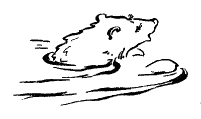 20 000 років під кригою i_014.png