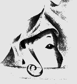 Нина - девочка Шестой Луны img84.png