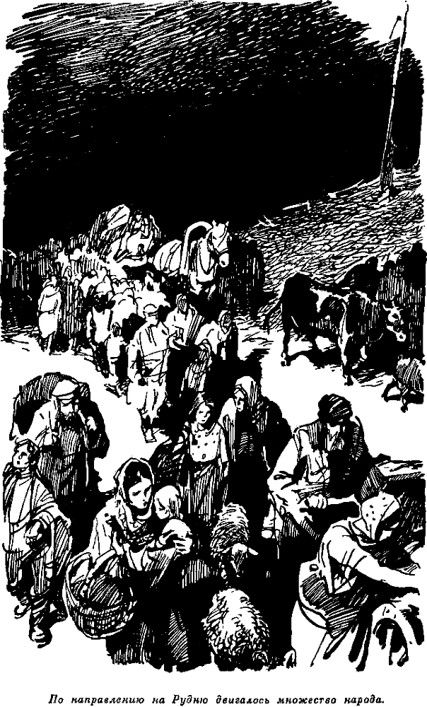 Нина Сагайдак i_002.png