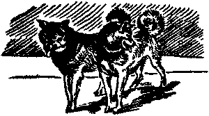 112 дней на собаках и оленях i_028.png