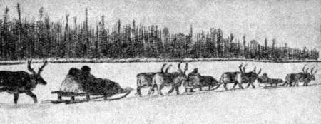 112 дней на собаках и оленях i_045.jpg