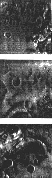 Отзовитесь, марсиане! i_108.png