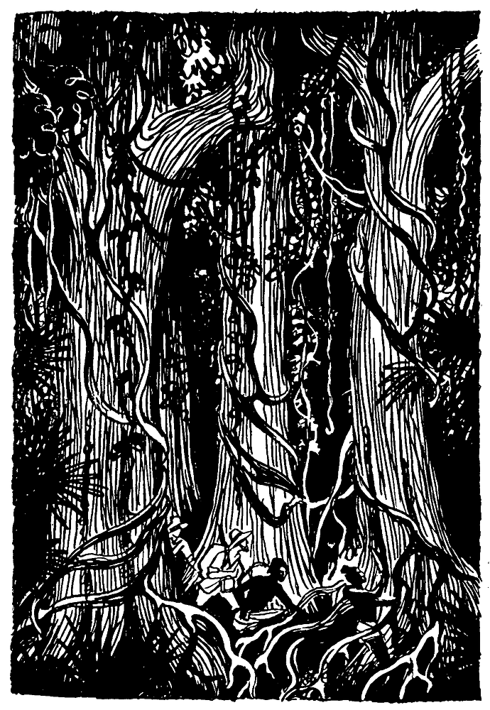 В поисках затерянного мира pic20.png