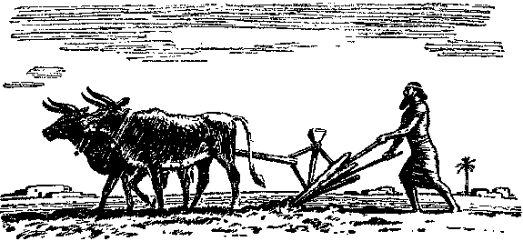 Глиняный конверт i_007.png