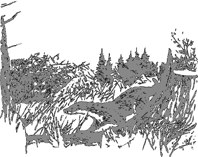 Рассказы о животных i_017.png