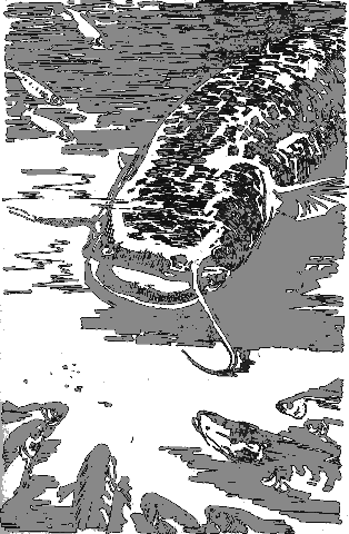 Рассказы о животных i_019.png