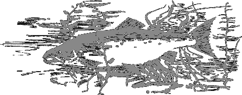 Рассказы о животных i_020.png