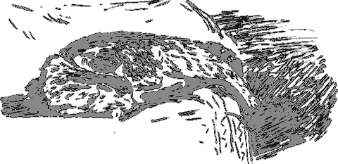 Рассказы о животных i_026.png