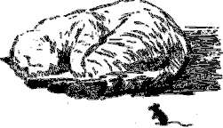 Рассказы о животных i_027.png