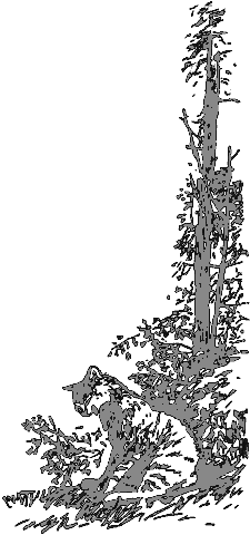 Рассказы о животных i_029.png
