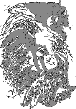 Рассказы о животных i_004.png