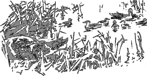 Рассказы о животных i_032.png