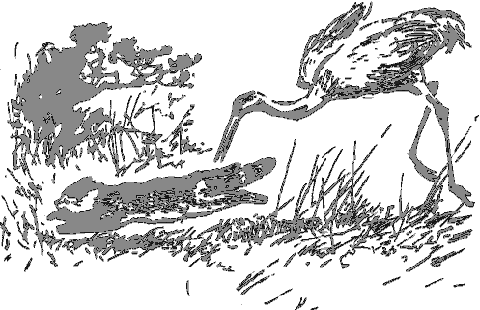 Рассказы о животных i_037.png