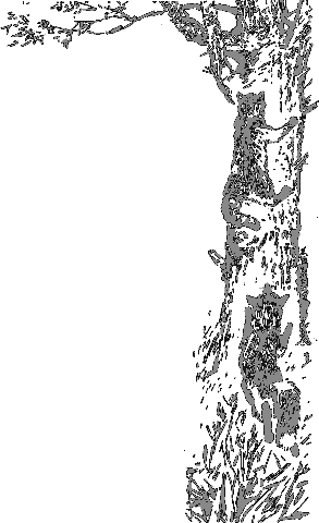 Рассказы о животных i_038.png