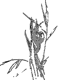 Рассказы о животных i_006.png