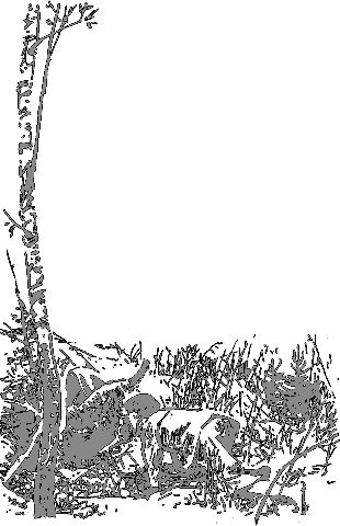 Рассказы о животных i_008.png
